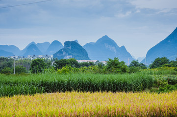 玩具怎么读英语